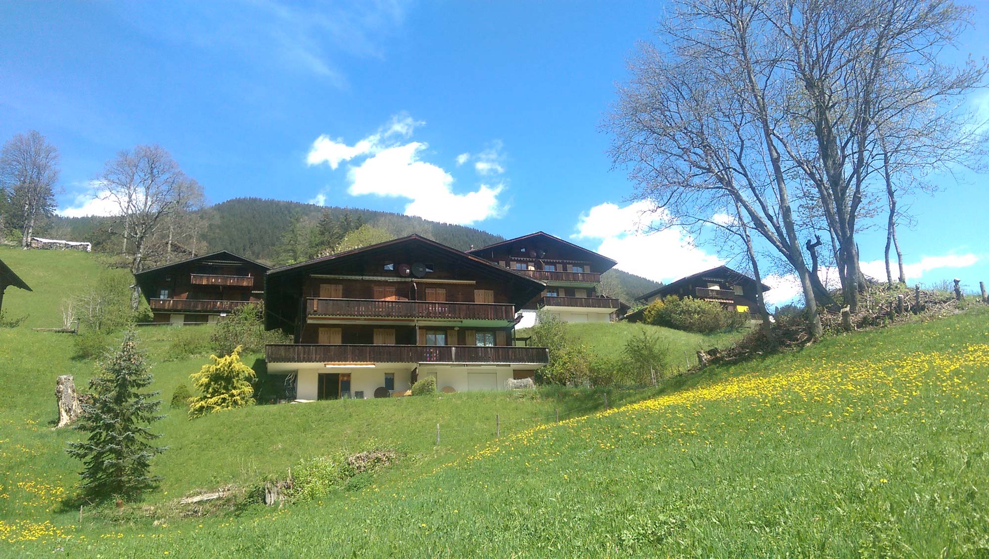 (c) Apartments-grindelwald.ch